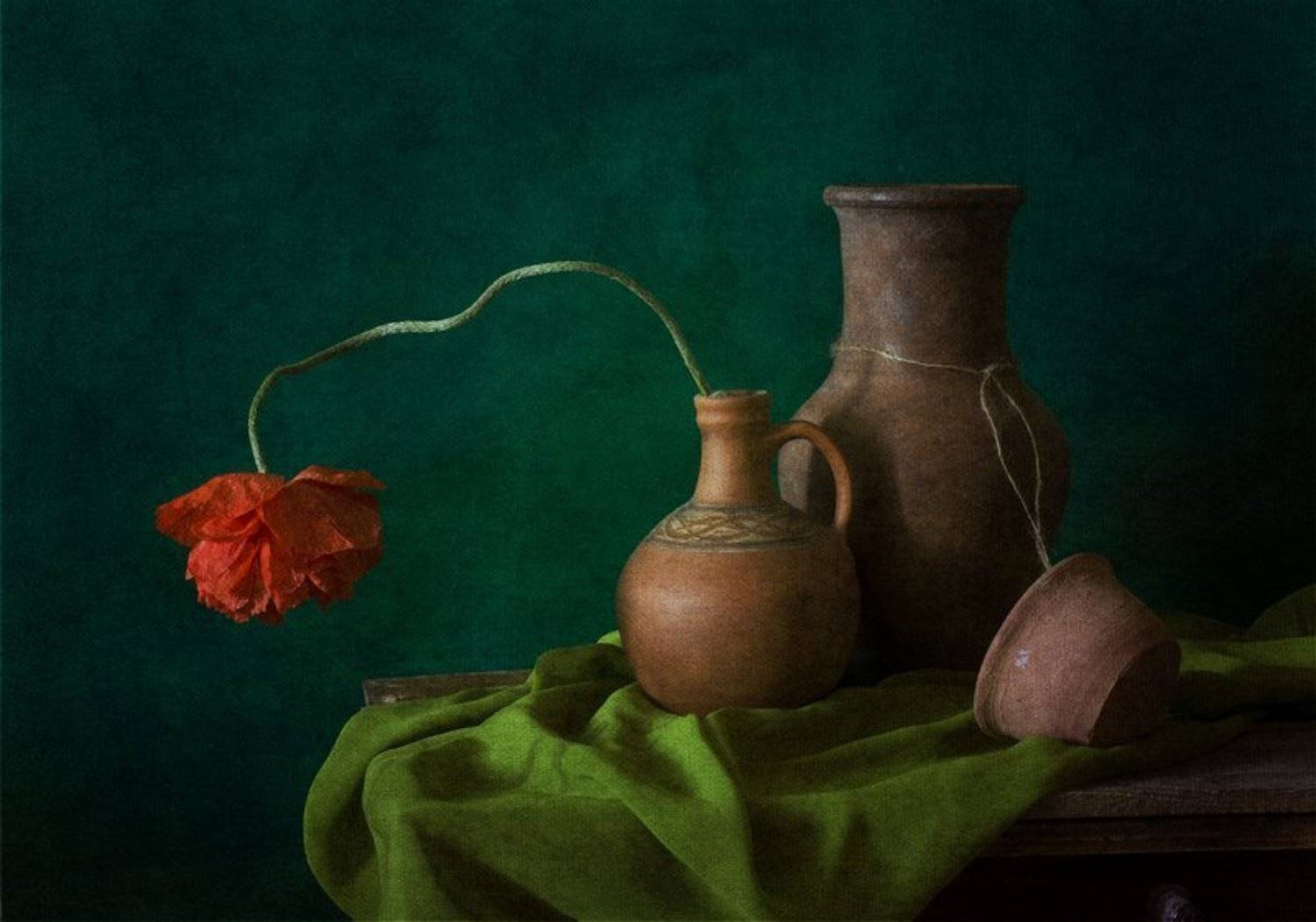 , Синегубова Ольга