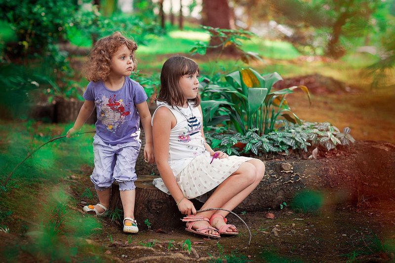 Субтропики фото превью