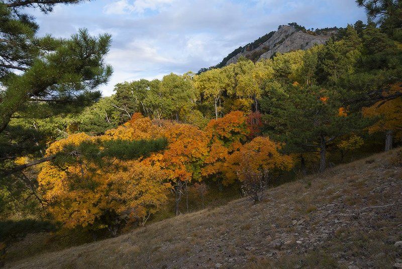 Октябрь в родных горах.  фото превью