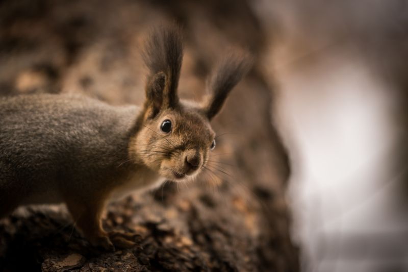 Удивление фото превью