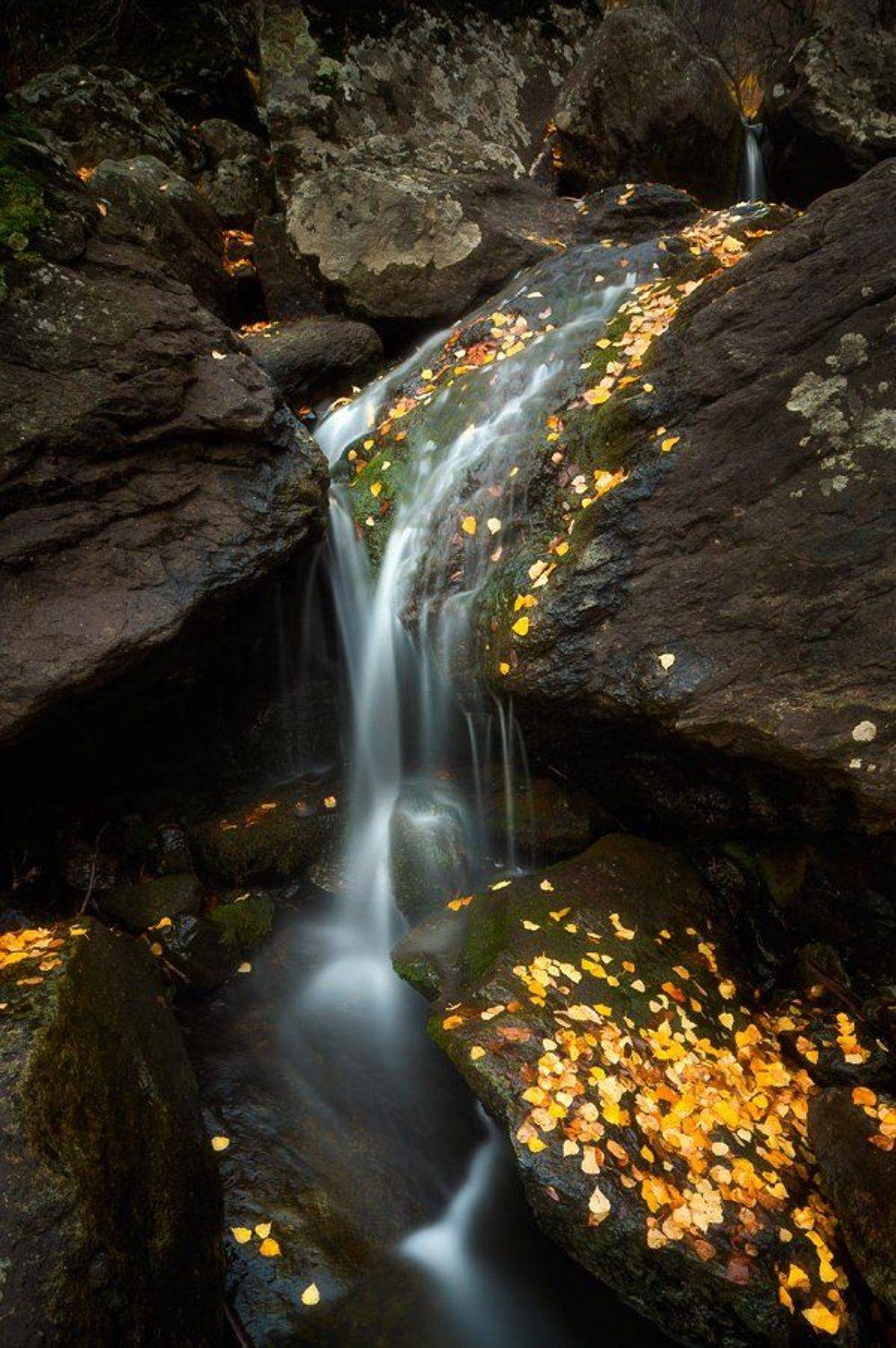 Гадельша, Башкирия, урал, уральскиегоры, осень, водопад, ручей, желтыелистья, камни, Виктор