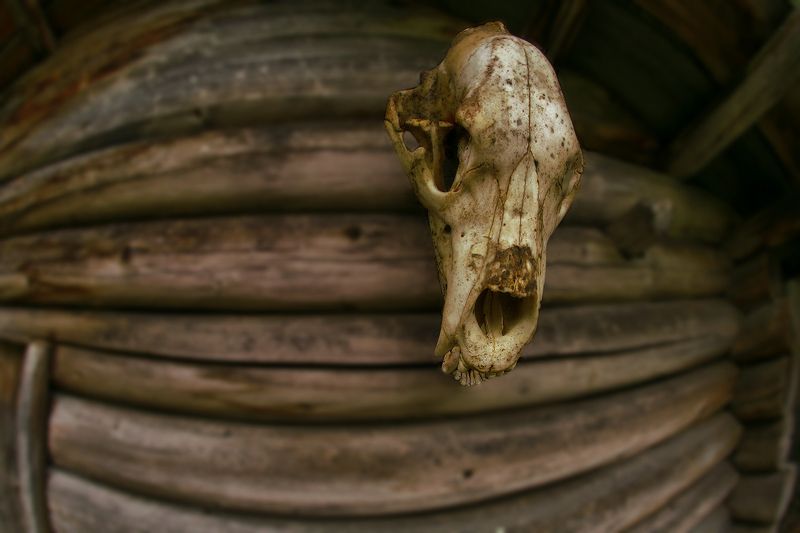 югра,кинямины юрты,река малый юган ...оберег лабаза фото превью