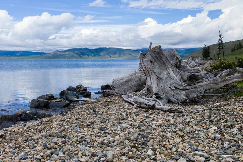 Монголия, Хубсугул озеро Хубсугул (Северная Монголия) фото превью