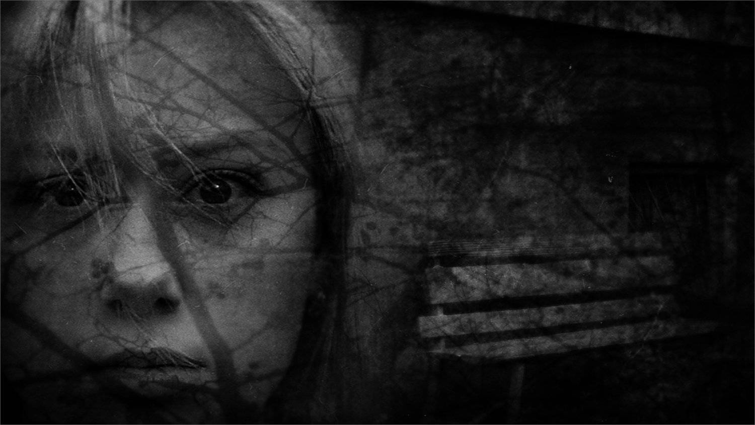 , Владислав Холодков