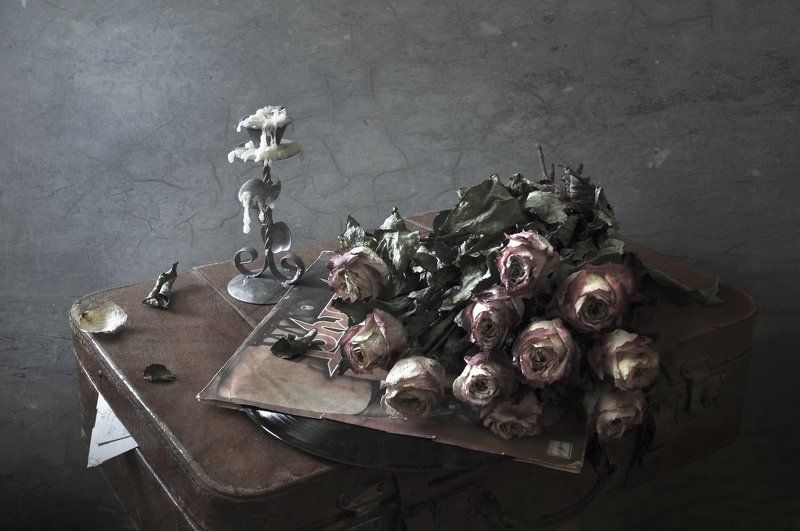 забытая мелодия фото превью