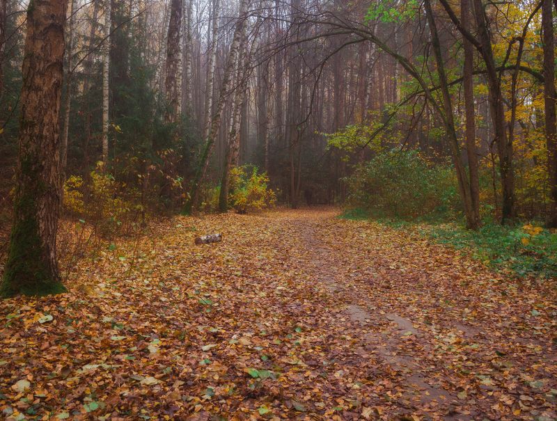 Осень Осенняя пора фото превью