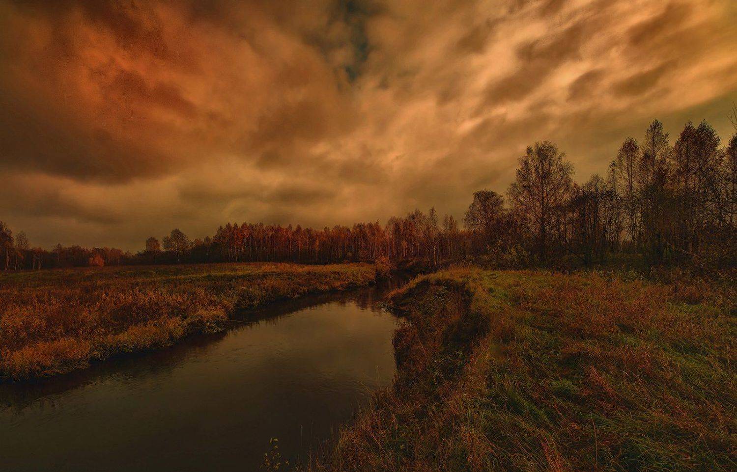 , Сергей (Bekr)