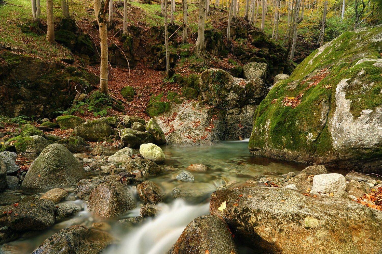 , Александър Сандев