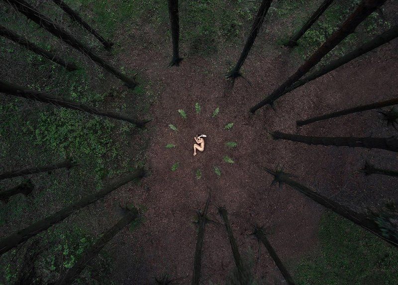 лес, девушка, ню, портрет *** фото превью