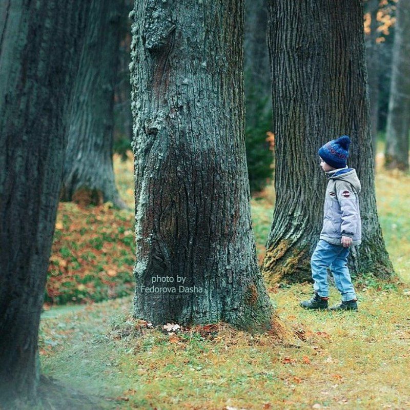 Лесной человечек фото превью