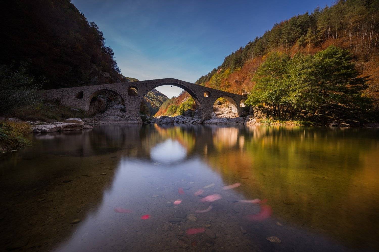 , Илияна Шишкова