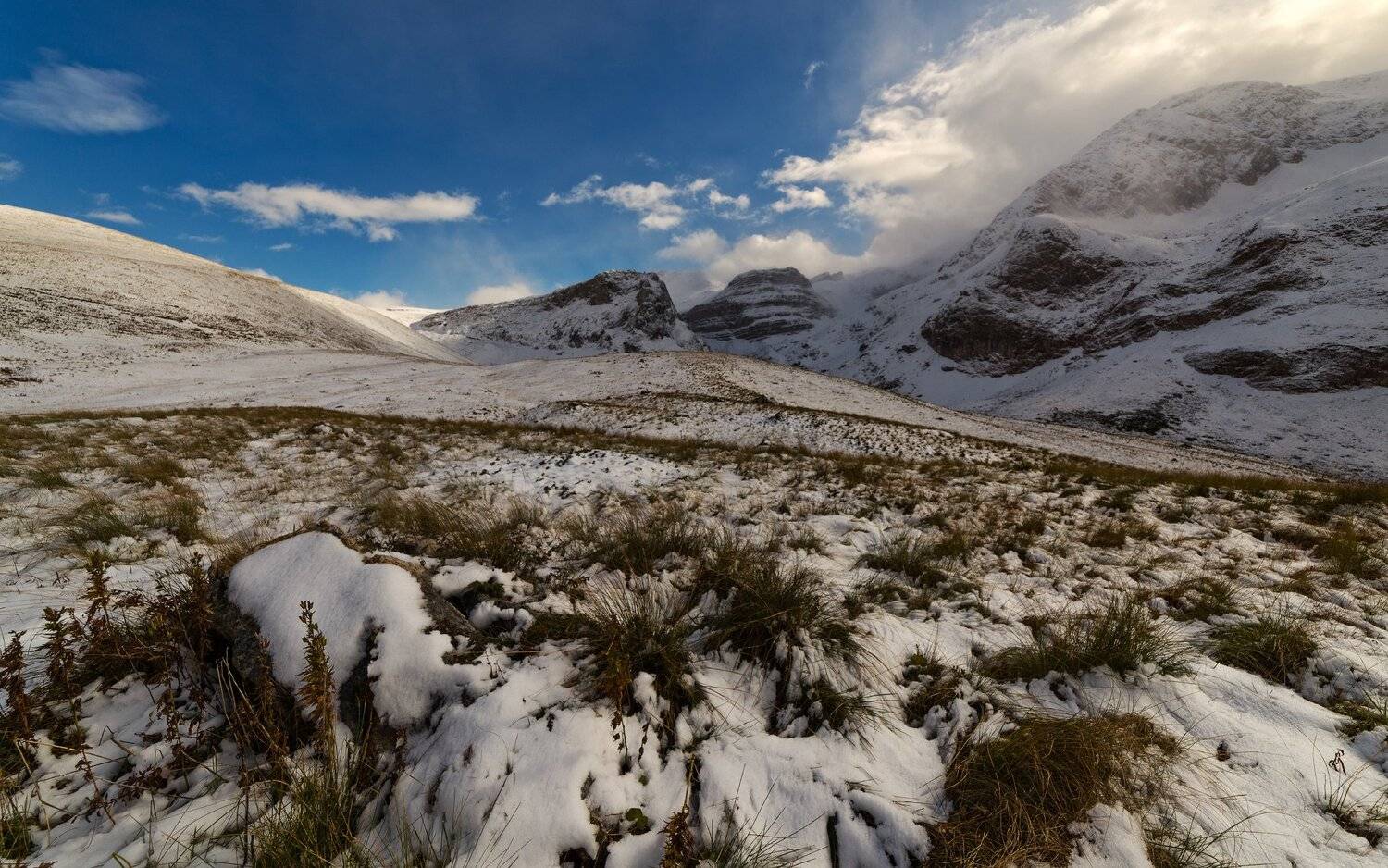 , Alexander Plekhanov