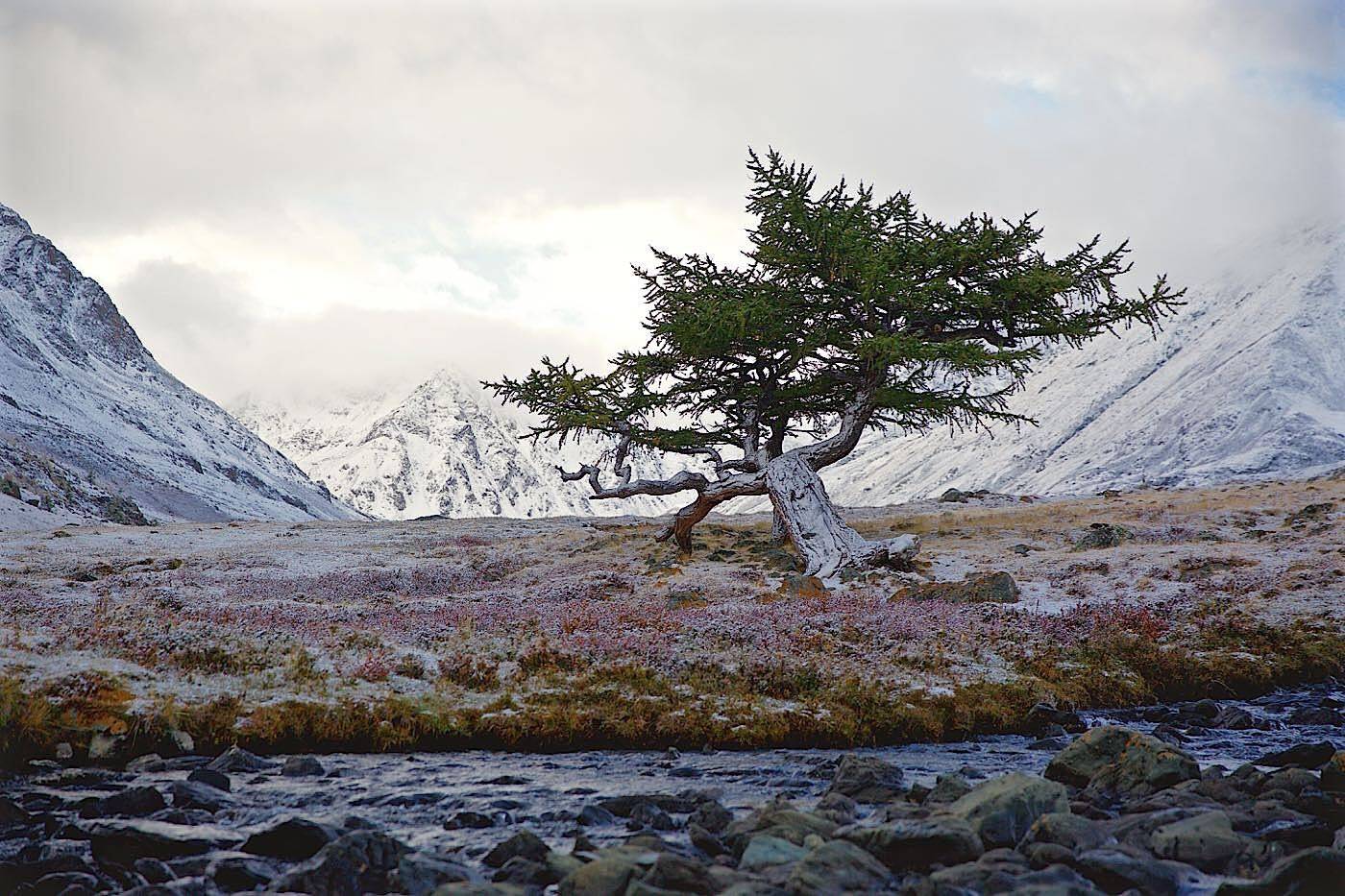 , Мазурин Евгений