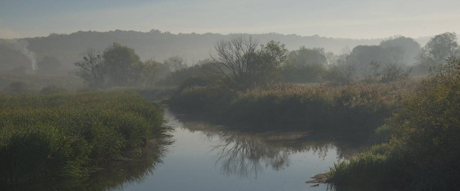, Николай Шахманцир