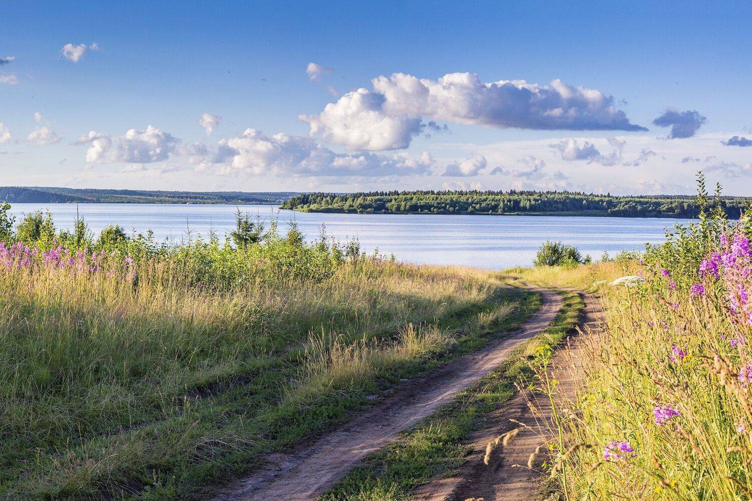 лето, водоем, вечер, облака, дорога, Савицкий Ян