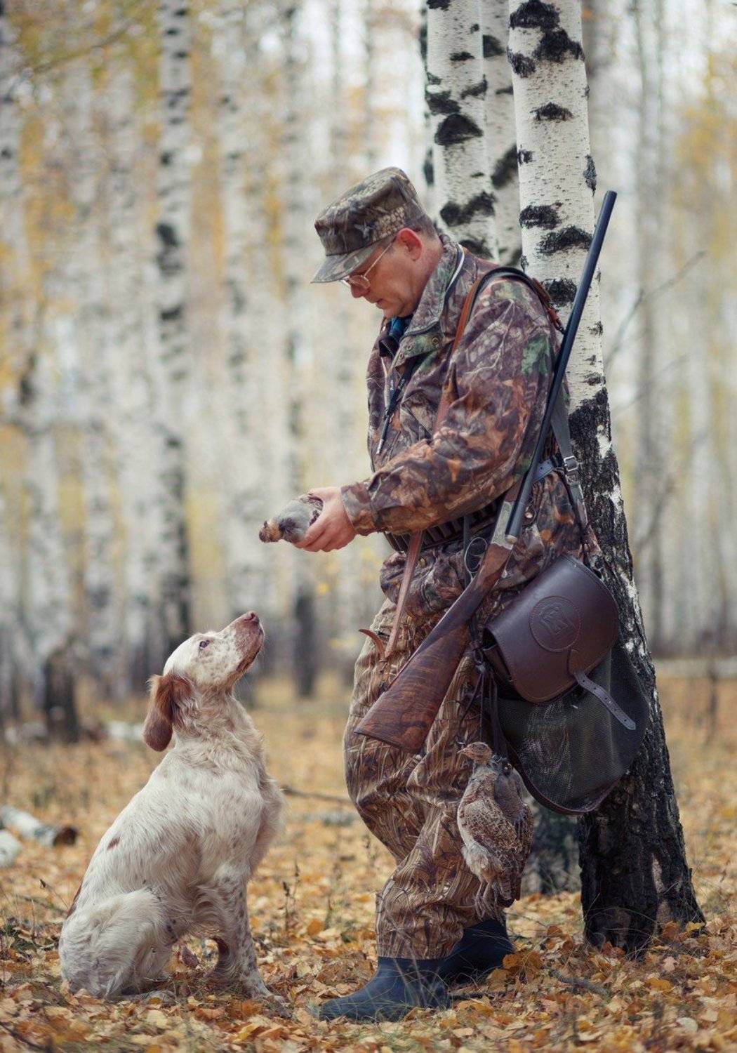 фотограф животных, саров, фотохудожник, александр_чибиркин, английский_сеттер, собаки, охота, портрет, осень, Александр Чибиркин