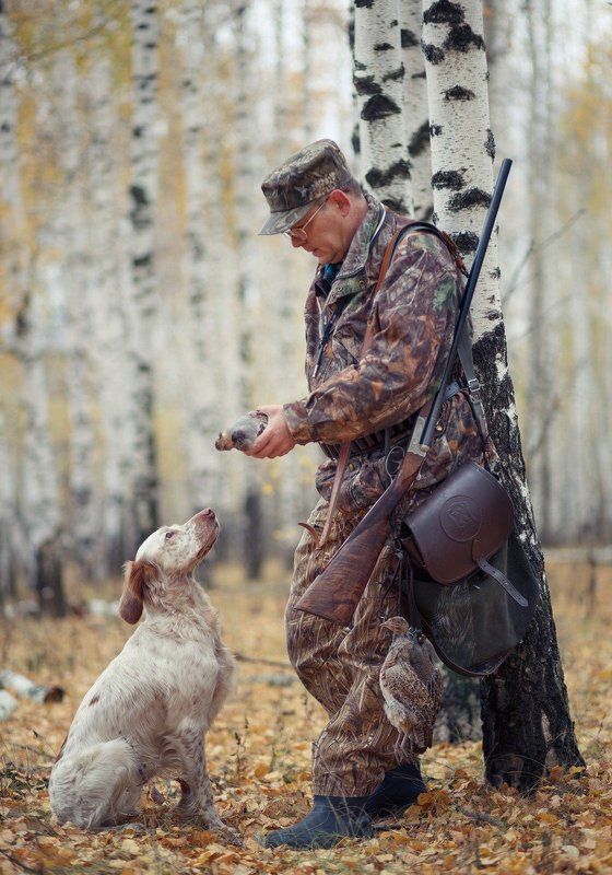 фотограф животных, саров, фотохудожник, александр_чибиркин, английский_сеттер, собаки, охота, портрет, осень Охотничья пора фото превью
