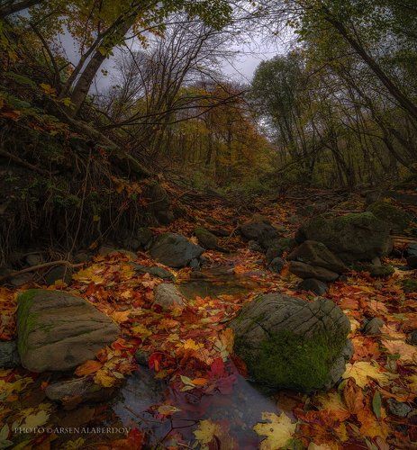 ОСЕНЬ В АРХЫЗЕ