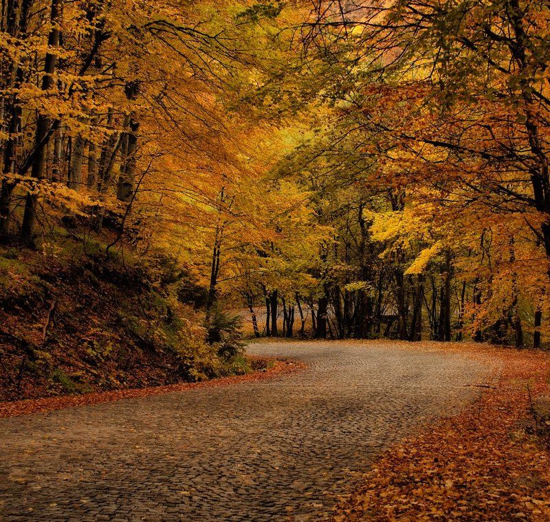 On the bend фото превью