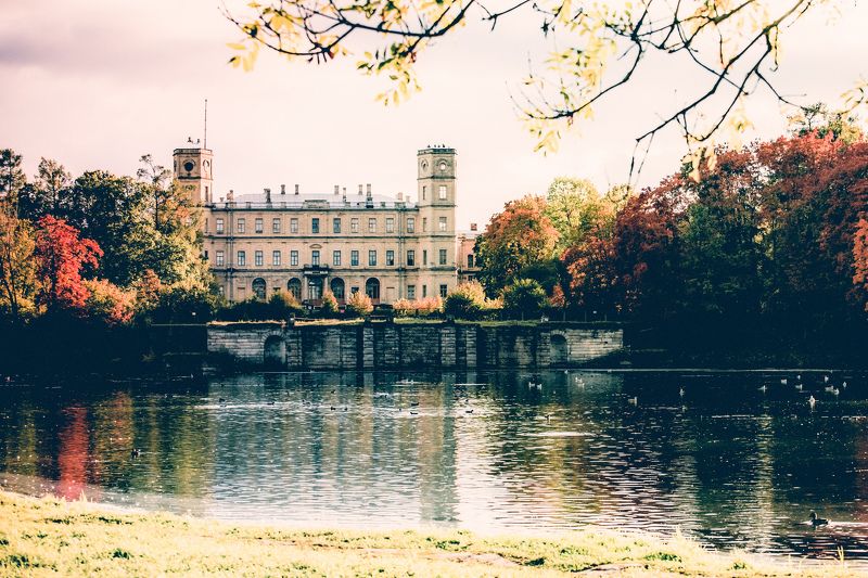Осень в Гатчине фото превью