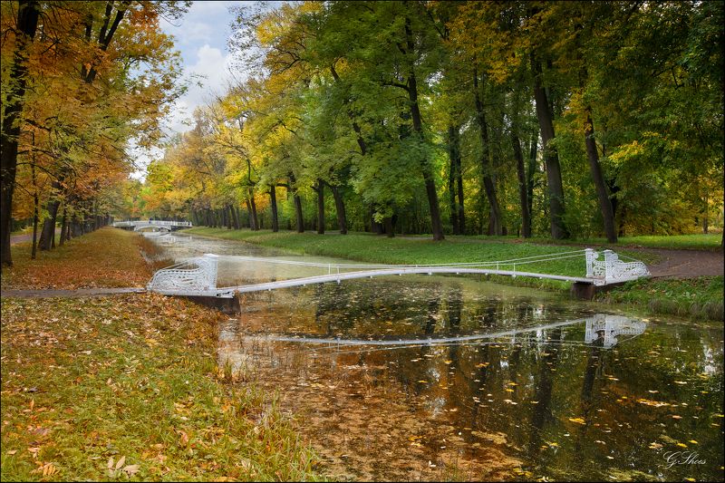 Мостик от лета к осени фото превью
