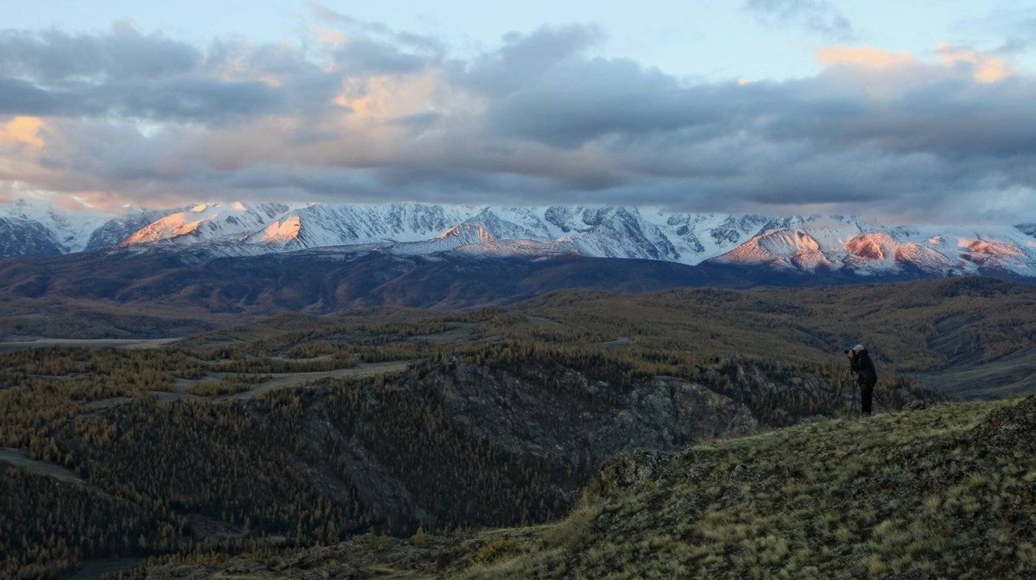 алтай, горный алтай, северо-чуйский хребет, утро, горы, Галина Хвостенко