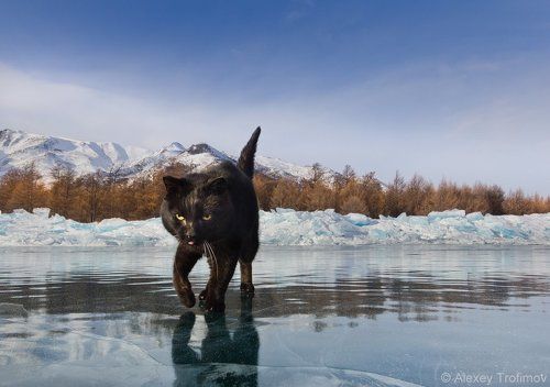 Говорят, не повезет, если...
