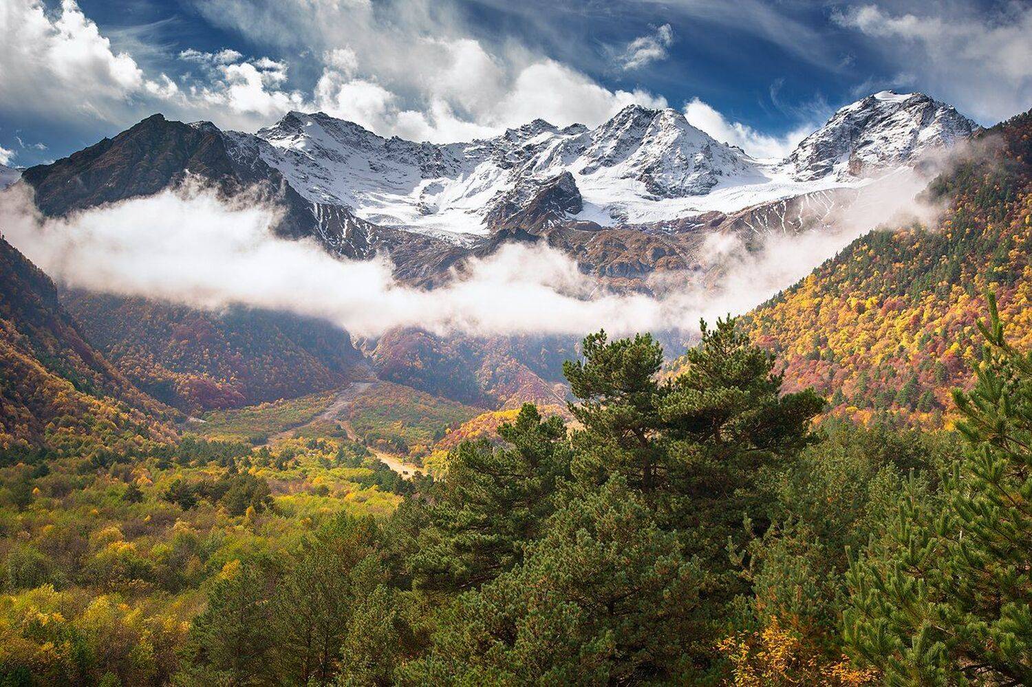 , Михаил Туркеев