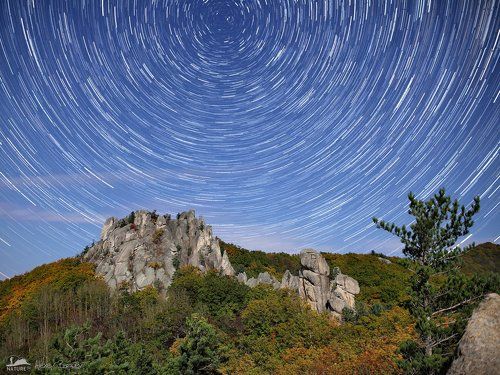 Парк Драконов. Цветные сны Каменного Исполина