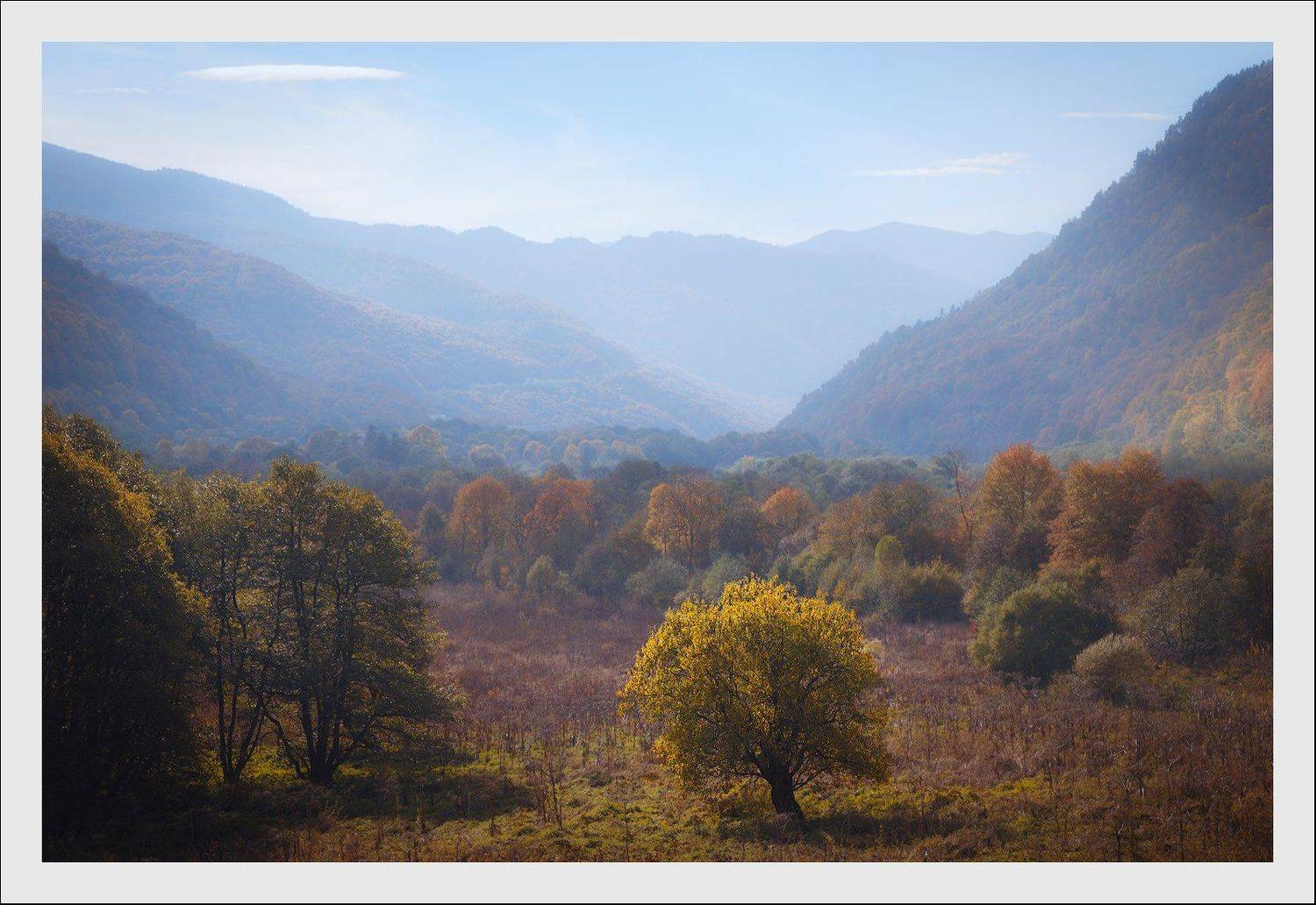 , Минаев Павел