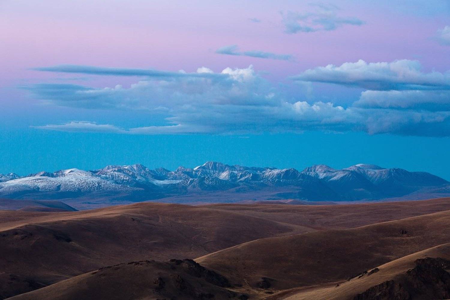 , Юрий Сорокин