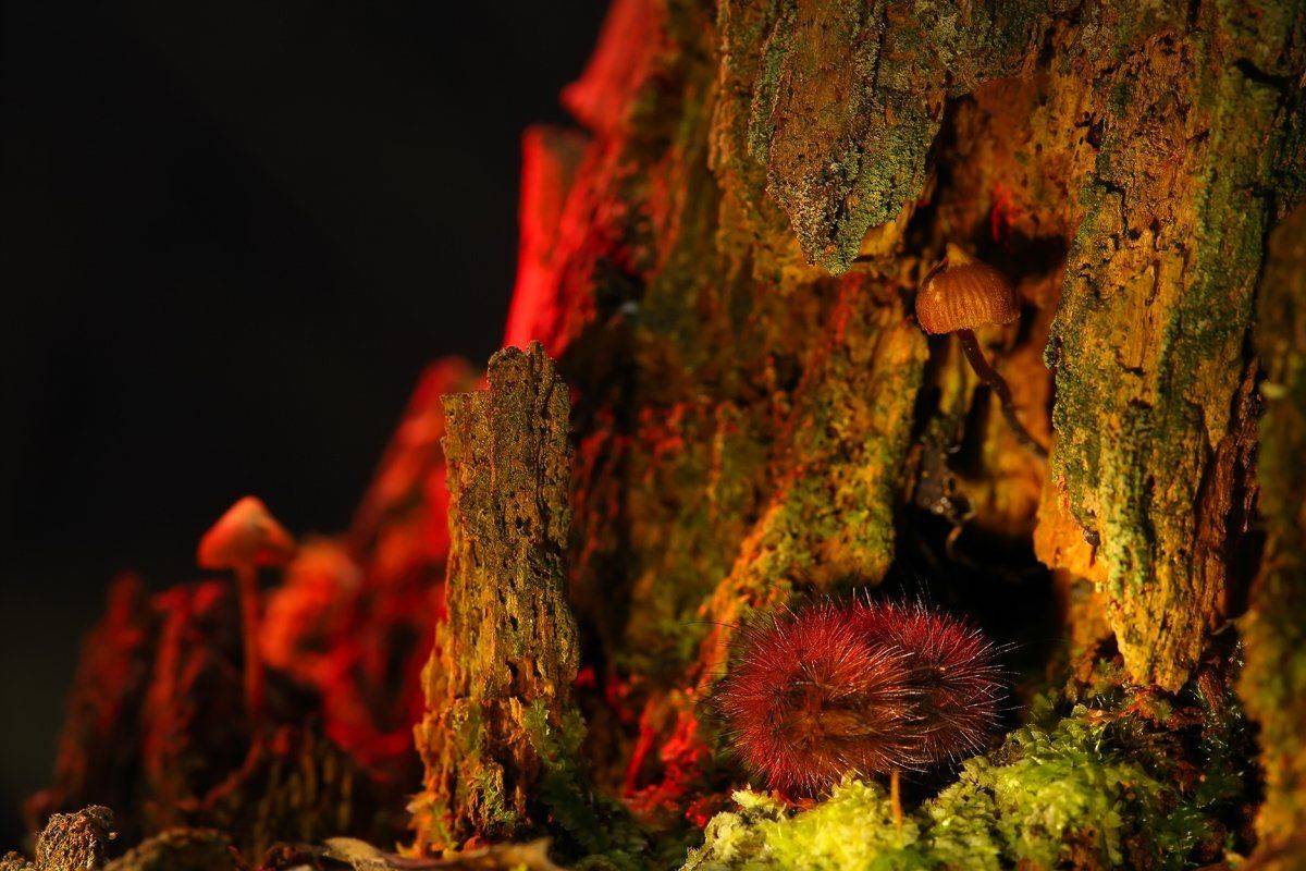 , Сергей Кузнецов