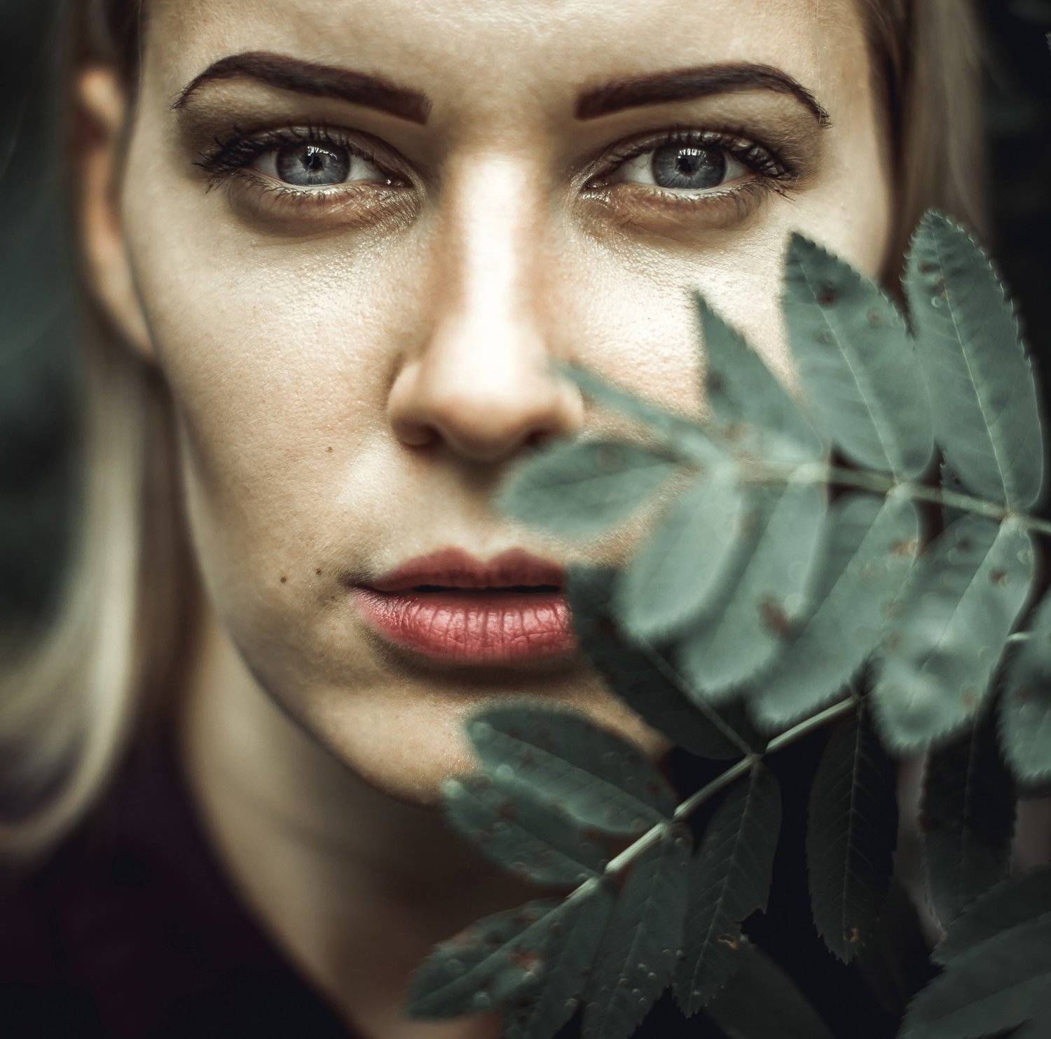 , Eimis &Scaron;er&scaron;niovas