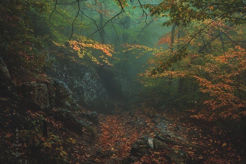 Крым. фото превью