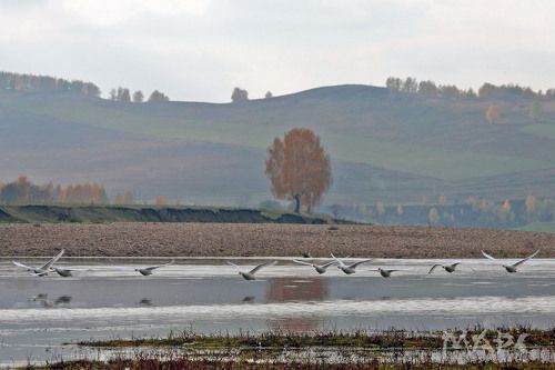 осень в деревне