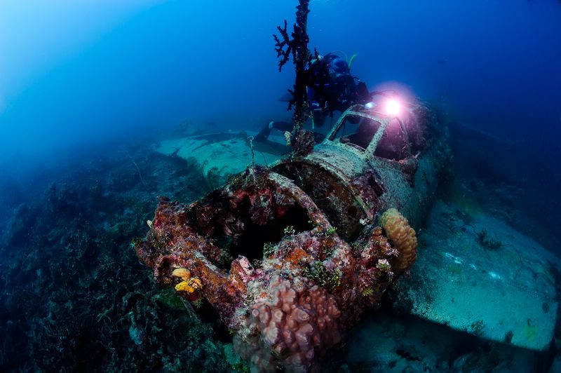 Красота глубины. фото превью