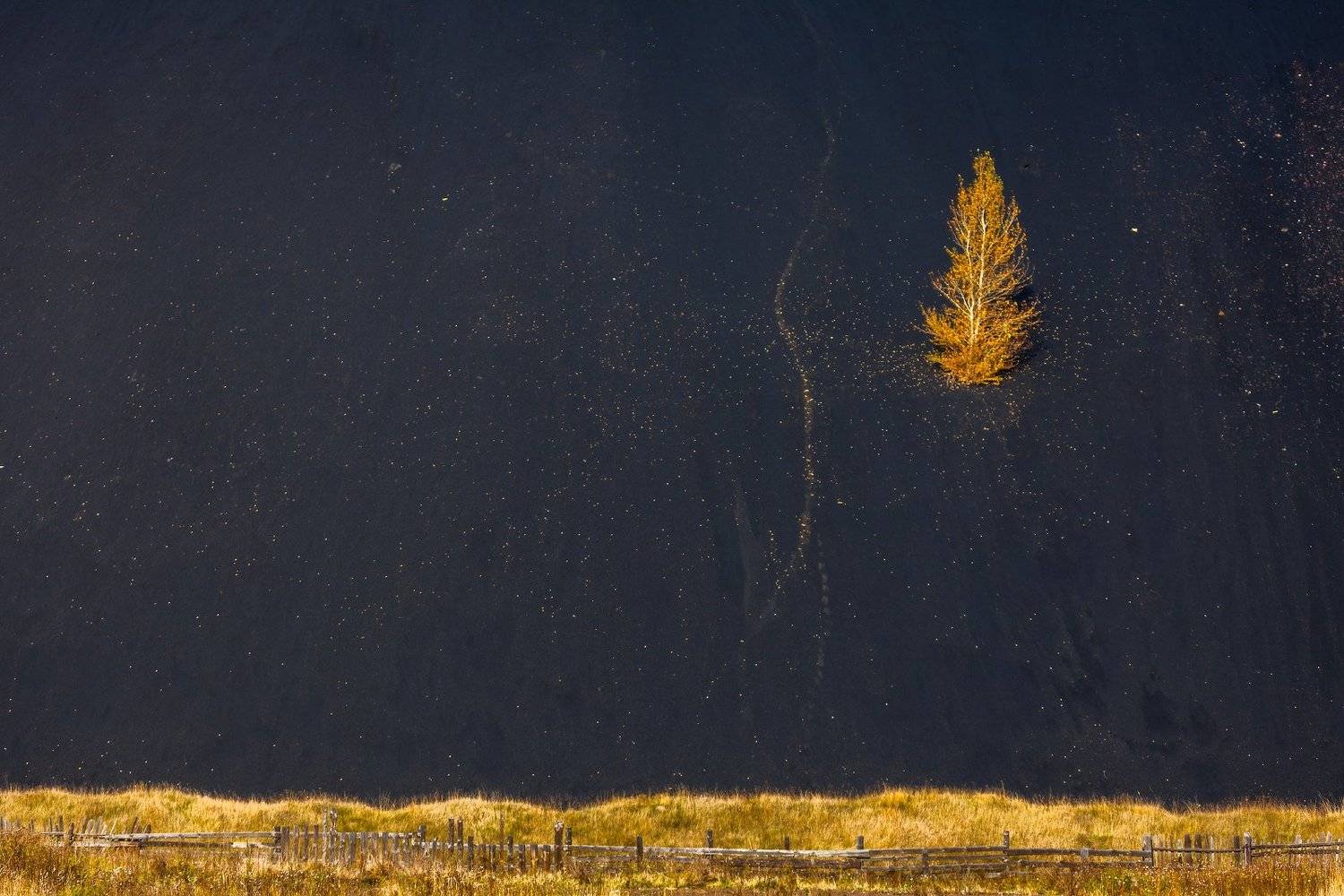 урал, верхний уфалей,, Михаил Трахтенберг