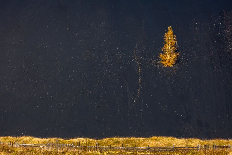 урал, верхний уфалей, Gold\'N\'Black фото превью