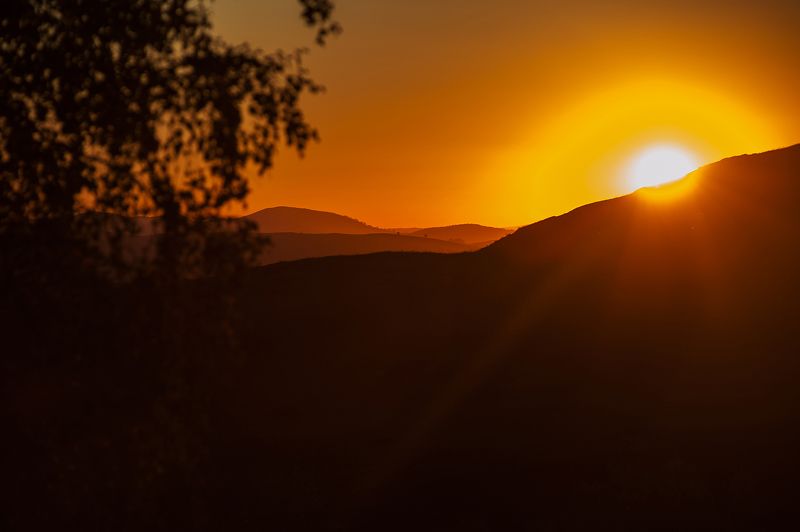 чарыш, пейзаж, сибирь, алтай, алтайскийкрай, горный, закат, sunrise, altai, siberia, altay Закат В Горном Чарыше фото превью