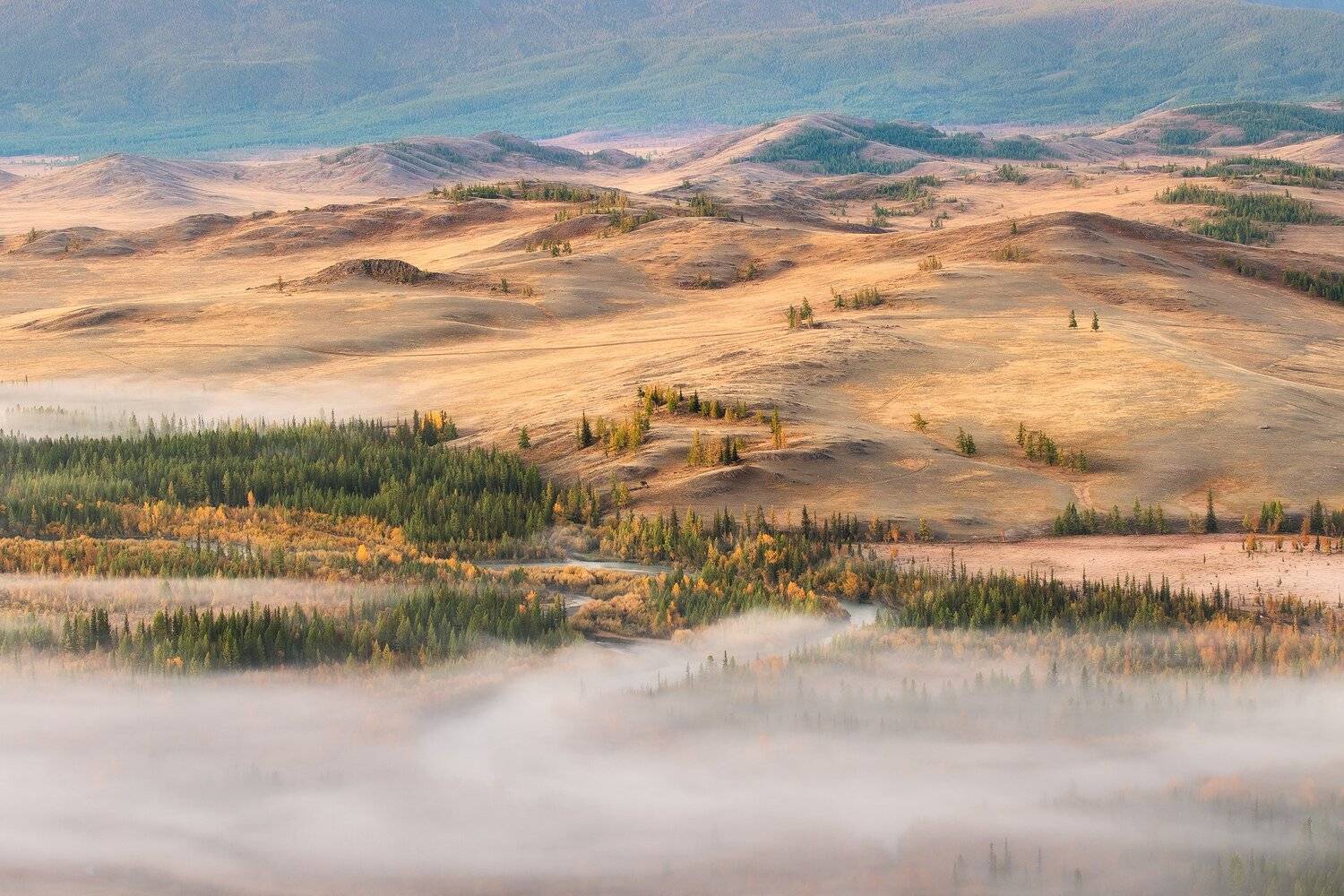 , Бахышев Сафар