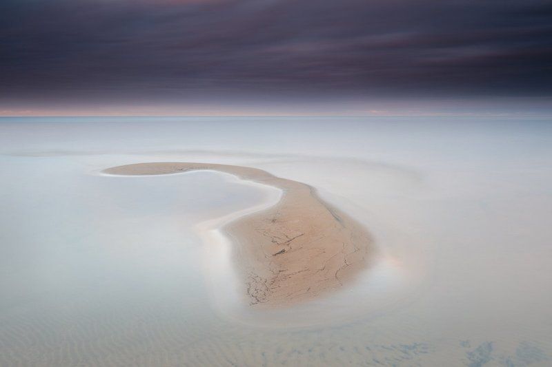 Скат \\ Batoidea фото превью