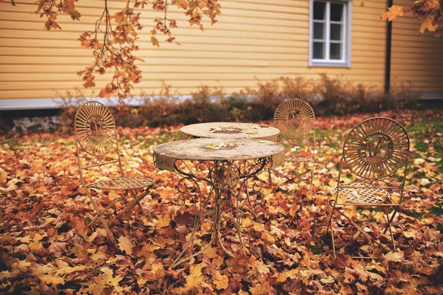 , Андро Александр