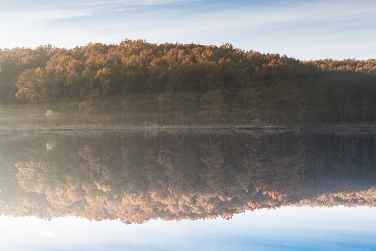 mirror, fog, lake, sunrise, forest, water, morning, Simplici_mortE