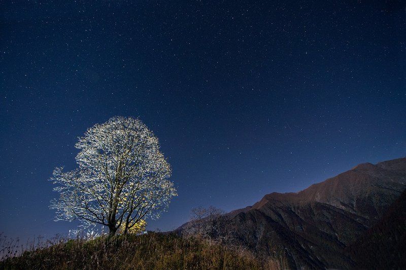 Восход луны над Лагодехи фото превью
