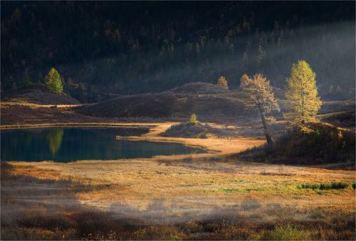 Лучи рисуют на земле свои узоры...!