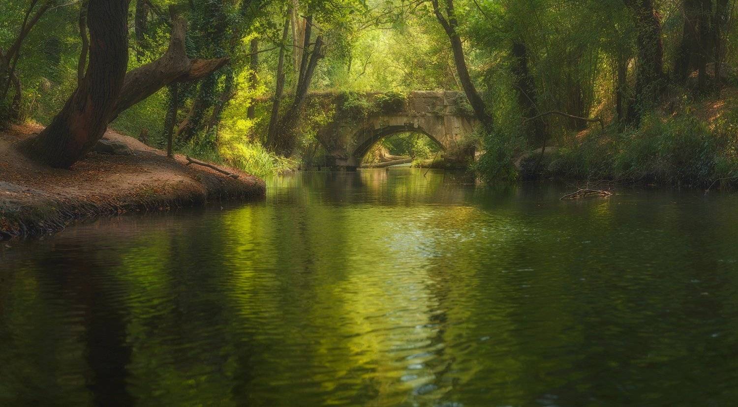 крым, севастополь, осень,  crimea, landscape, Таня SHE (Aiya)