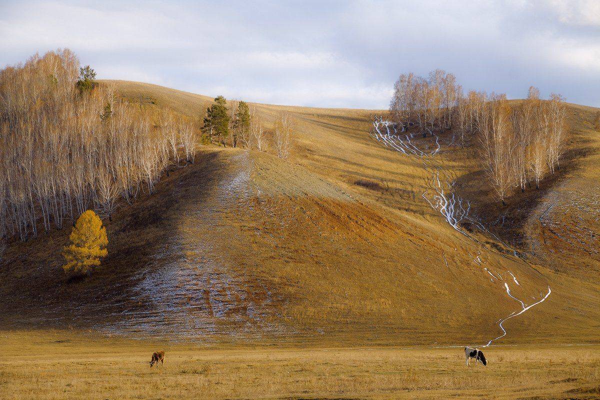 , Николай Морский