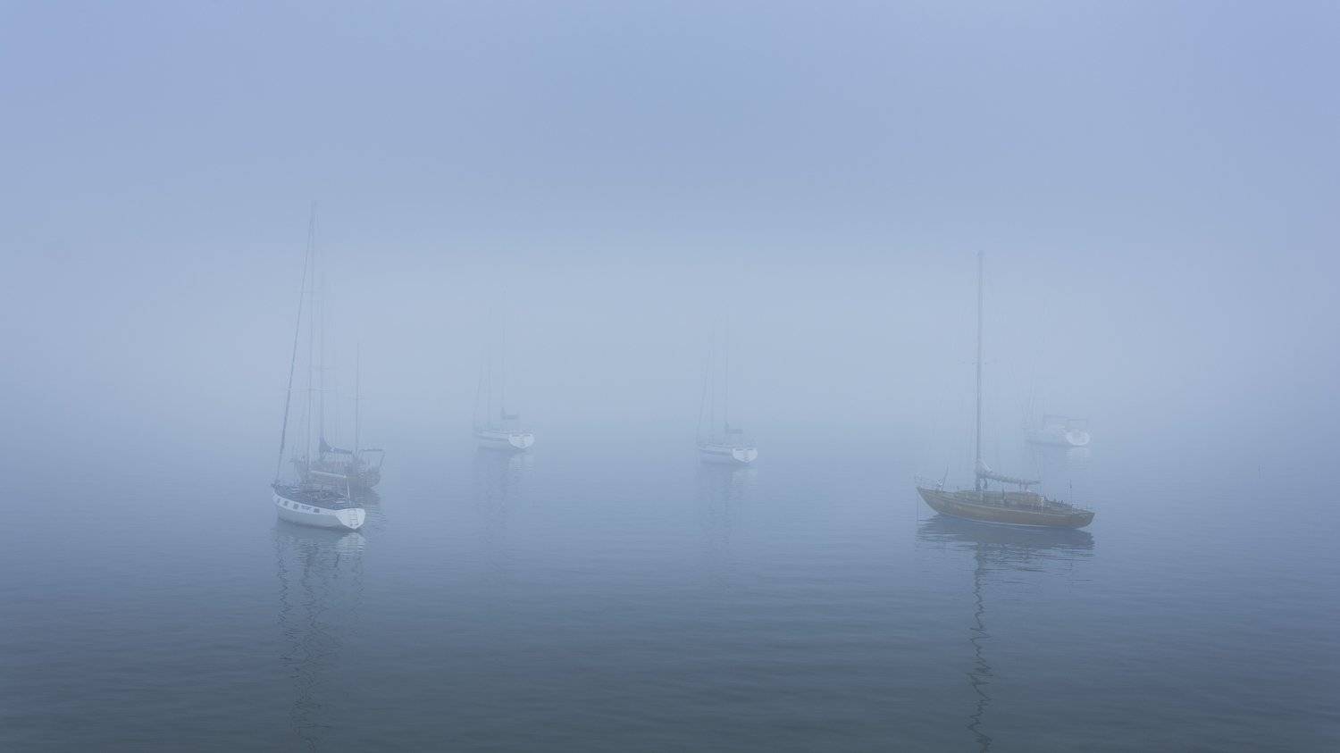 , Юрий Пужалин