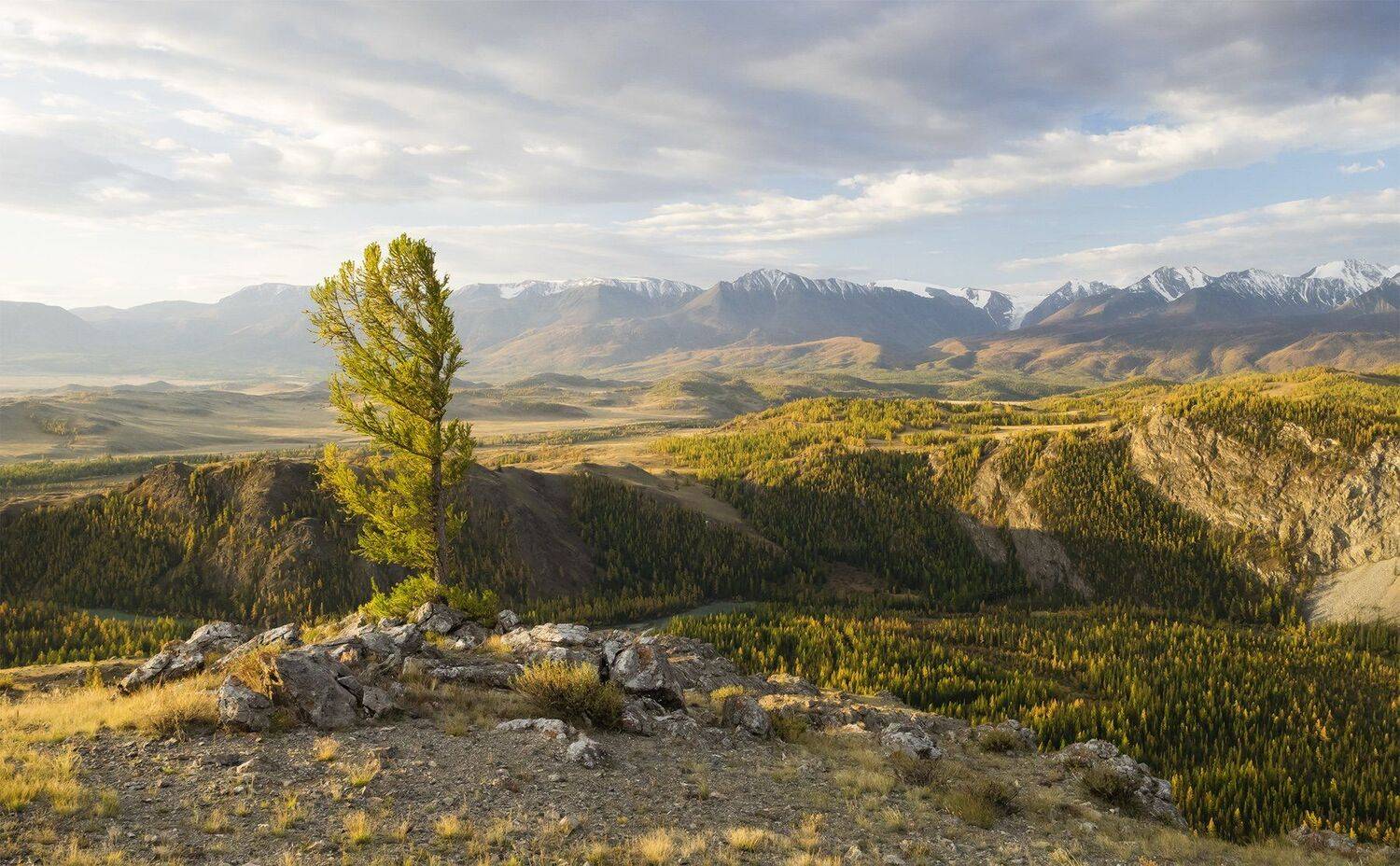 , Лещёнок Александр