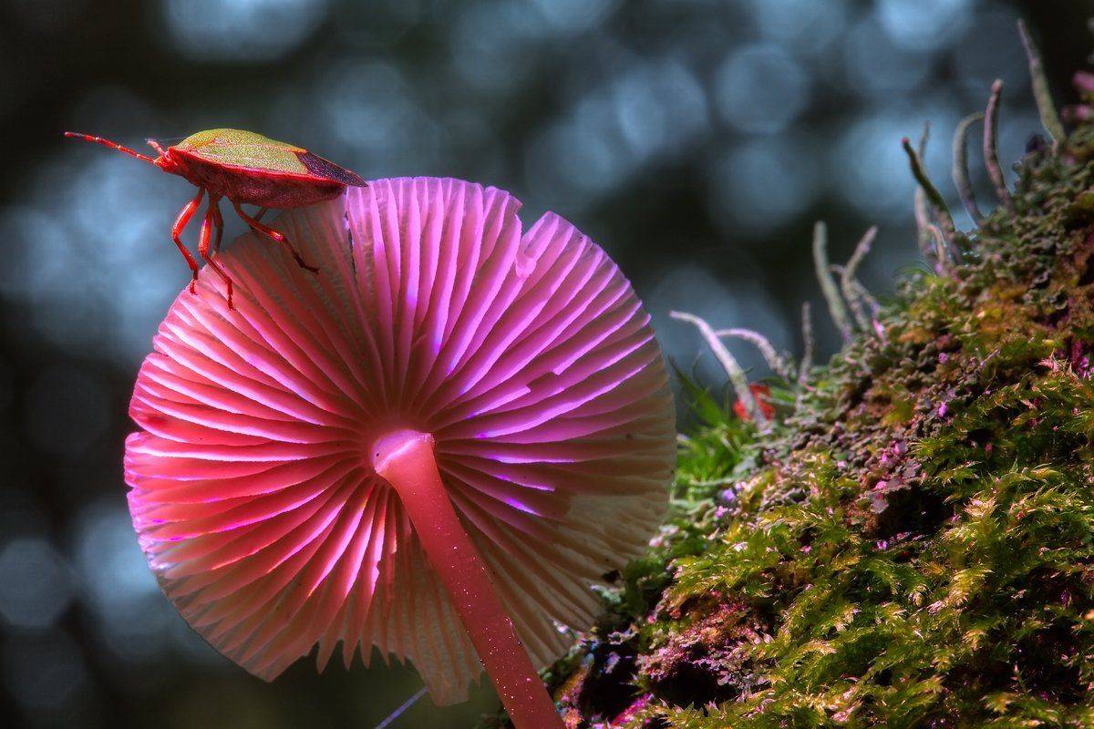 , Сергей Кузнецов